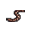 Worm