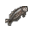 Dead Grass Carp