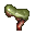 Bear Gall